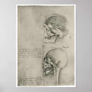 Poster Vue intérieure du crâne, Léonard de Vinci