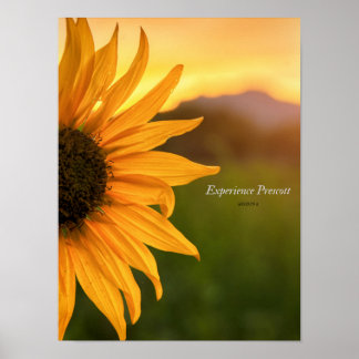 Poster Vue latérale - Expérience Prescott