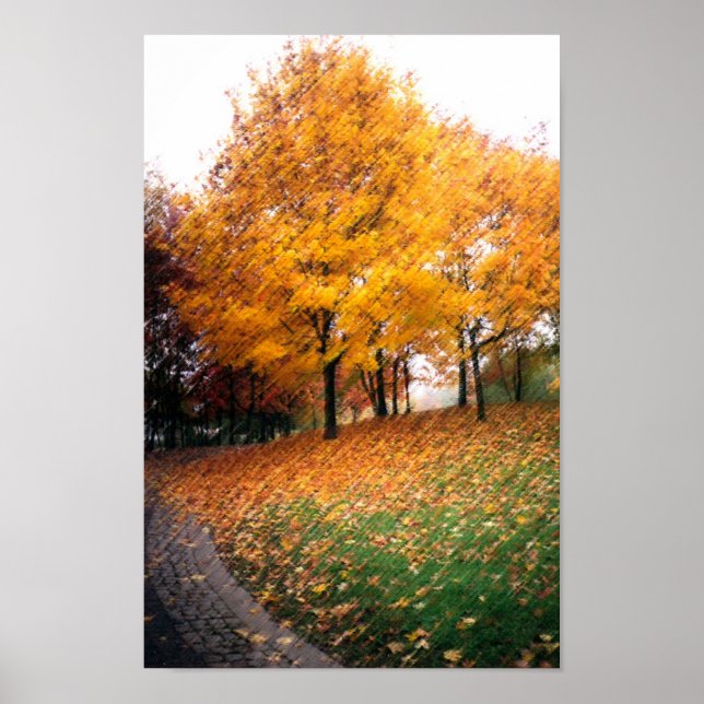 Poster Vue magnifique d'automne (Devant)