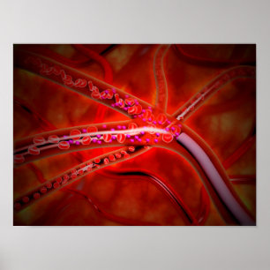 Poster Vue Microscopique De La Médecine Injectée