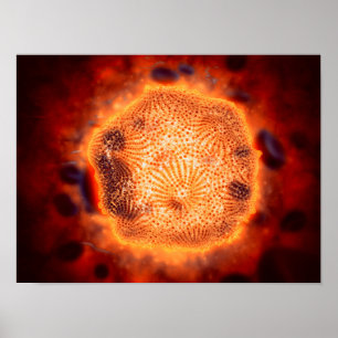 Poster Vue microscopique de Parvovirus canin 4