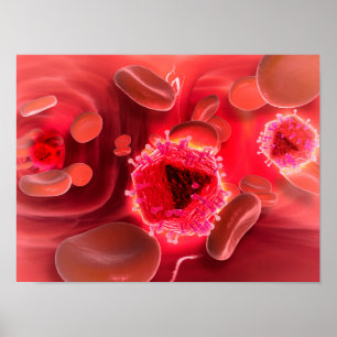 Poster Vue microscopique de virus d'HIV à l'intérieur des