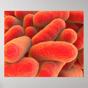 Poster Vue Microscopique Des Bactéries 4