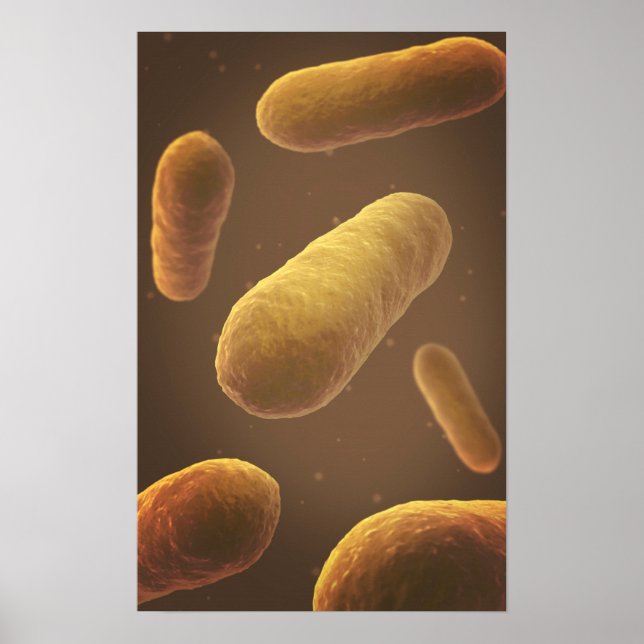 Poster Vue Microscopique Des Bactéries 5 (Devant)