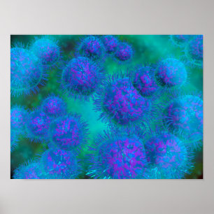 Poster Vue Microscopique Du Diplococcus Bacterium