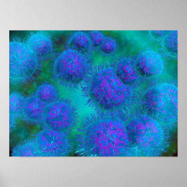 Poster Vue Microscopique Du Diplococcus Bacterium (Devant)