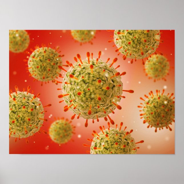Poster Vue Microscopique Du Virus Herpès 1 (Devant)
