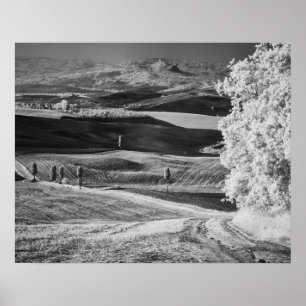 Poster Vue noir et blanc de la route sinueuse