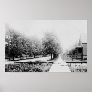 Poster Vue ouest de Parnell Avenue