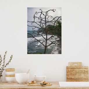 Poster Vue photo de l'arbre de plage de l'océan hawaïen