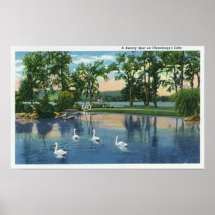 Poster Vue pittoresque des cygnes sur le lac