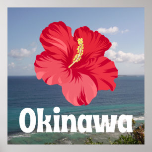 Poster Vue Pittoresque d'Okinawa et Hibiscus