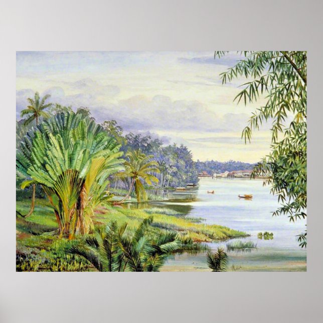Poster Vue sur Kuchine et Rivière, Sarawak, Borneo (Devant)