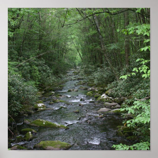 Poster Vue sur la rivière Oconuluftee (Devant)