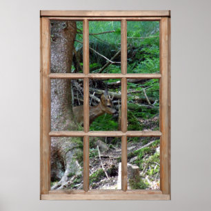 Poster Vue sur le bois à partir d'une fenêtre