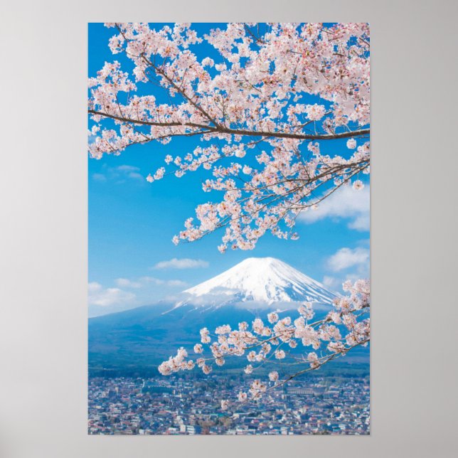 Poster Vue sur le Mont Fuji aux fleurs de cerisiers (Devant)