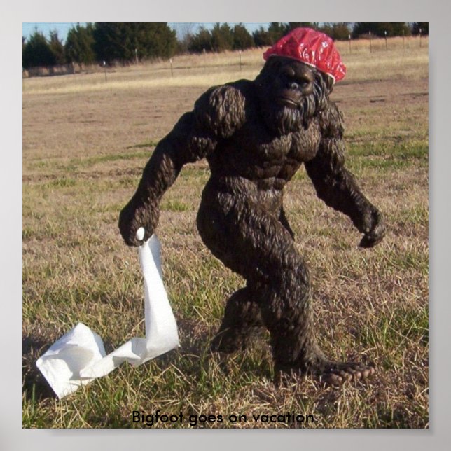 Poster Vue sur le pied (Devant)