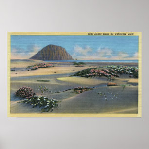 Poster Vue sur les dunes de sable le long de la côte