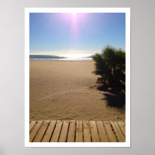 Poster Vue sur l'océan, plage, palmier, promenade