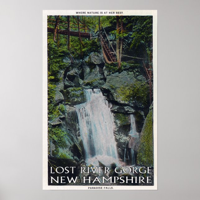 Poster Vue sur Paradise Falls (Devant)