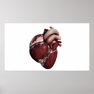 Poster Vue tridimensionnelle de coeur humain, avant