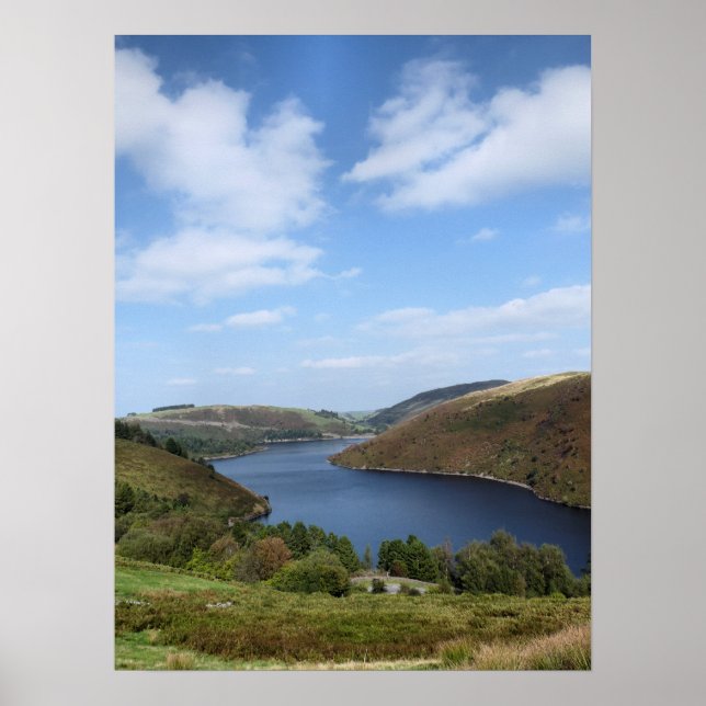 POSTER VUES DES ALLES (Devant)