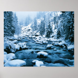 Poster WA, forêt nationale de Wenatchee, Cascade