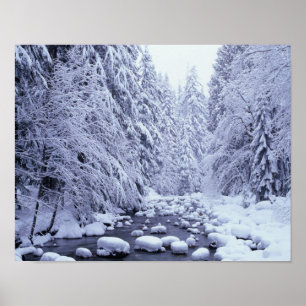 Poster WA, forêt nationale du mont Baker-Snoqualmie,