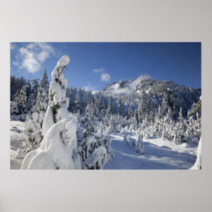 Poster WA, zone sauvage Alpine Lakes, bassin du lac Snow
