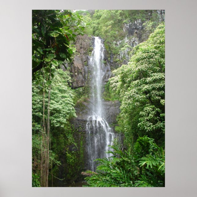 Poster Waimea Falls, Hana, Maui, Hawaii (Devant)