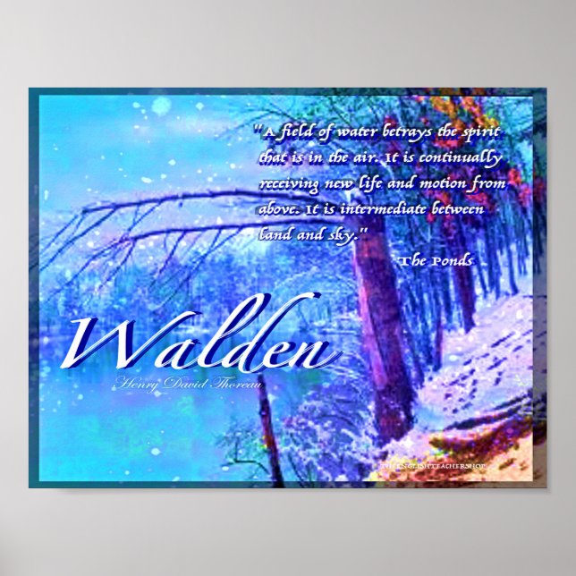 Poster Walden (Devant)