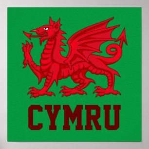 Poster Wales Red Dragon - fond vert