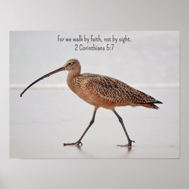 Poster Walking Beach Bird et Bible Verse Art (Devant)