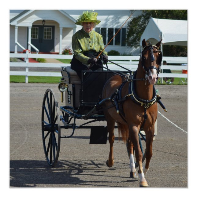 Poster Walnut Hill Carriage Driving Horse Show (Devant)