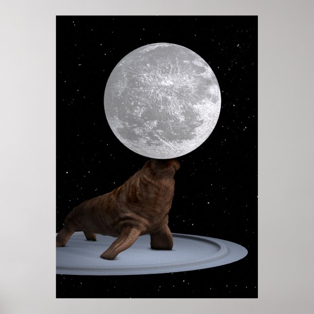 Poster Walrus Équilibrer La Lune (Devant)