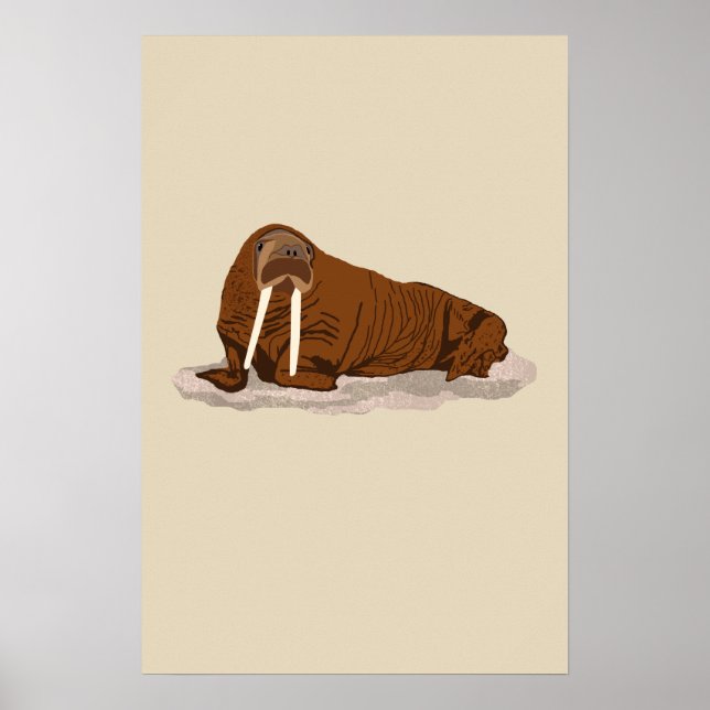 Poster Walrus Pacifique (Devant)