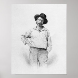 Poster Walt Whitman, frontispice au 'feuille de