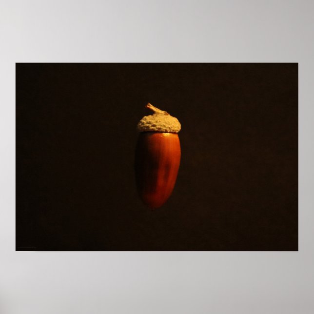 Poster Wapcn de chêne puissant (Devant)