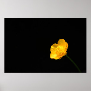 Poster Wapcna à fleurs de tasse-beurre