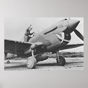Poster Warhawk P40 1943
