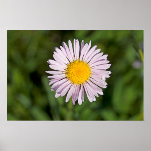 Poster Washington, chaîne Cascade, Mont Baker