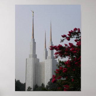 Poster Washington DC