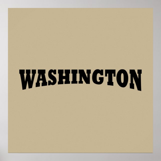 Poster washington dc (Devant)