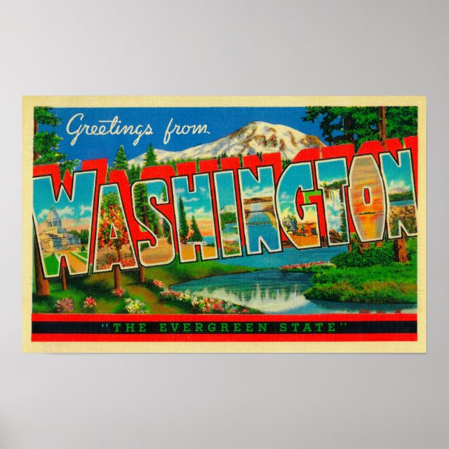Poster Washington - L'Etat À feuillage persistant (Devant)