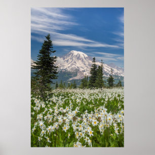 Poster Washington, Parc national du Mont Rainier 1