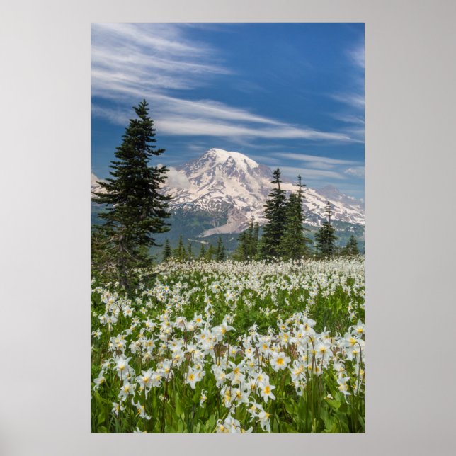 Poster Washington, Parc national du Mont Rainier 1 (Devant)