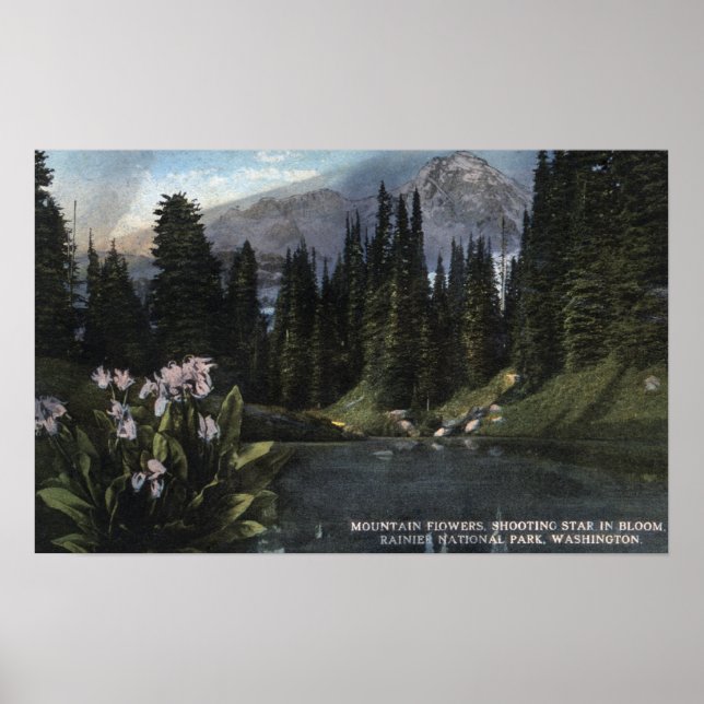 Poster Washington - Parc national Rainier, Sta de tir (Devant)