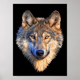 Poster Watchful Wolf