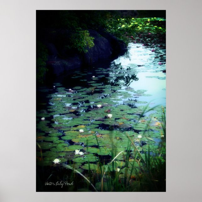 Poster Water Lily Pond ：Archive Heavy Weight Paper (Devant)