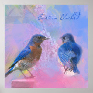 Poster Watercolor Eastern Bluebirds